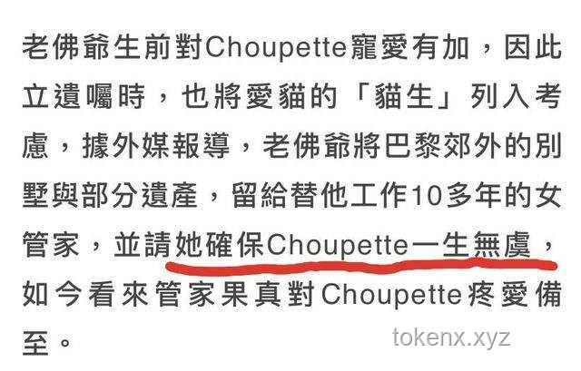 女子立遗嘱给宠物狗留遗产实操指南：确保爱宠无忧
